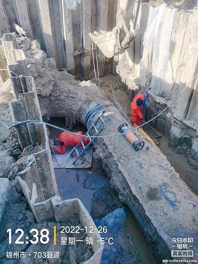 公司逆行出征 全力增援業(yè)主項目