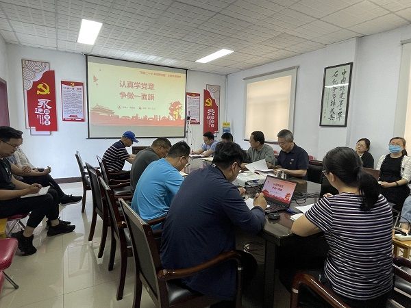 公司開展“認真學習黨章、嚴格遵守黨章”主題黨日活動