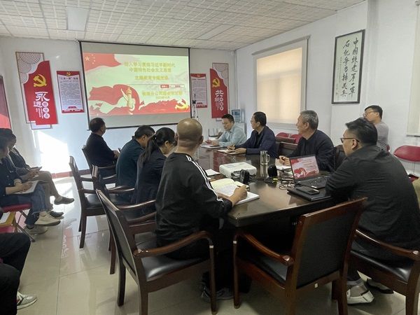 公司綜合支部開展主題教育專題黨課